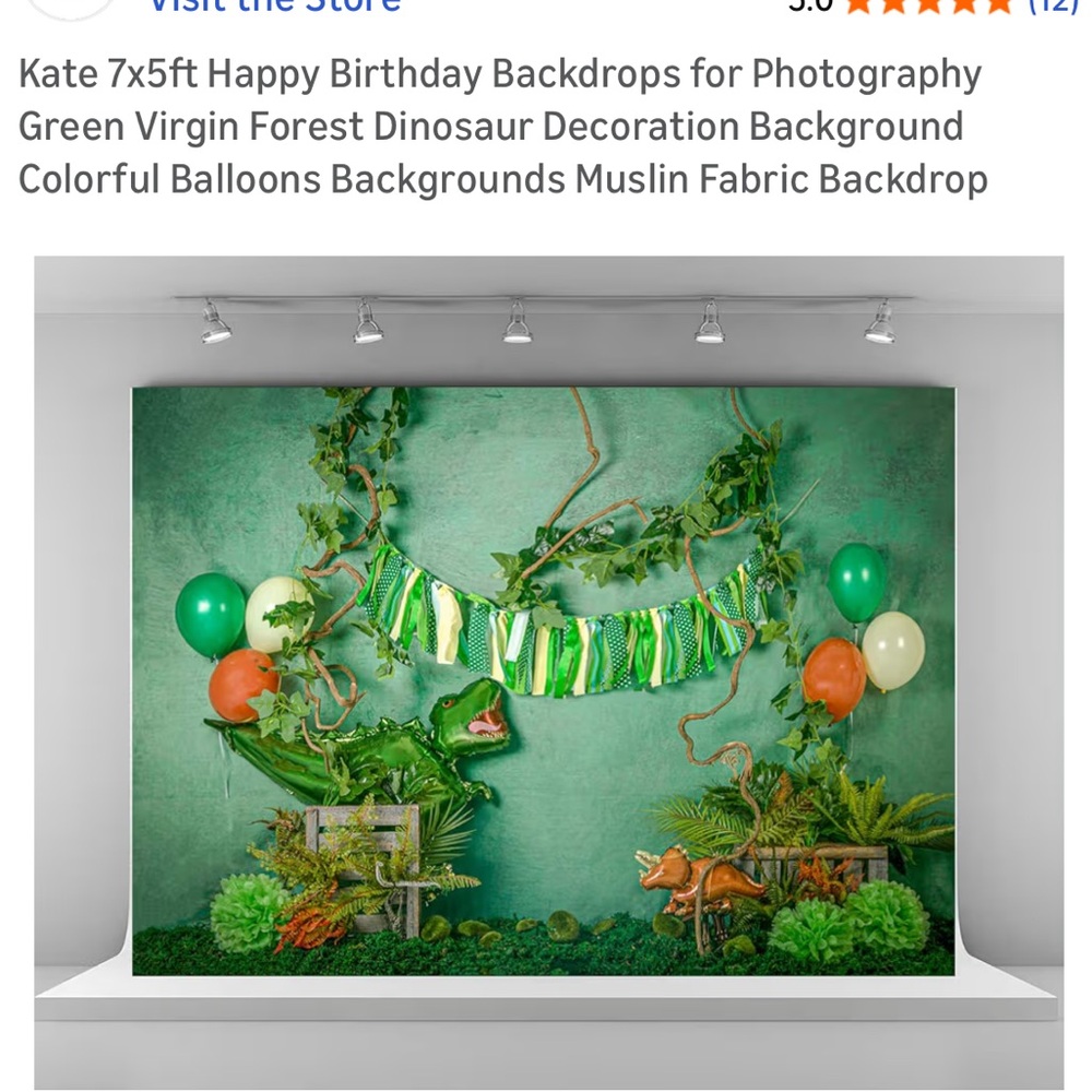 Kate birthday backdrop 7x5 dinosaurs